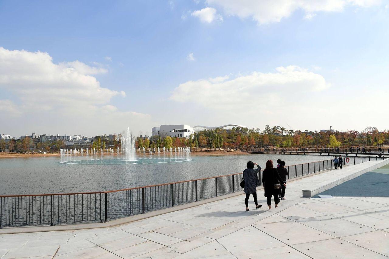 korea, seoul, travel, trip, backpack, botanic garden, wetland, park, nature, green, ecology, greenhouse